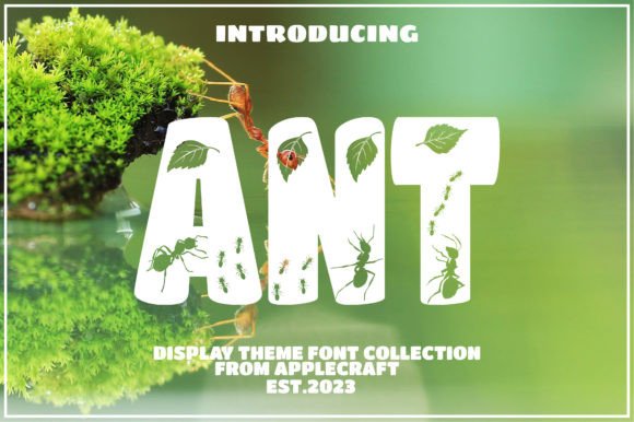 Ant Typeface: A Bold Decorative Font for Playful Brand Identity
