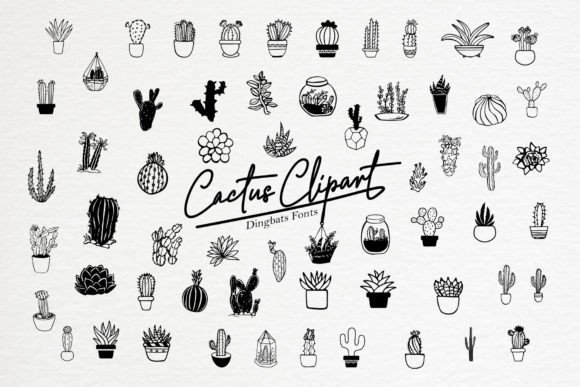 Cactus Clipart: A Delicate Display Typeface for Editorial Design