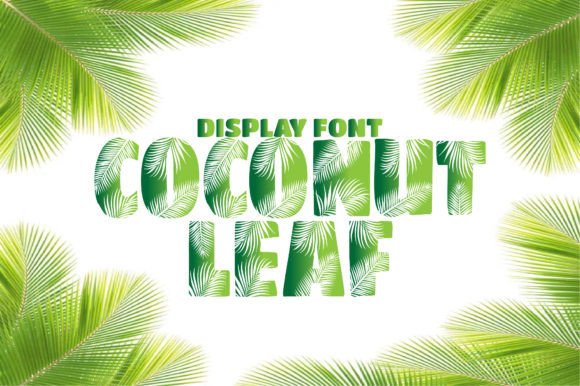 Coconut Leaf Typeface: A Calm Approach to Editorial Design
