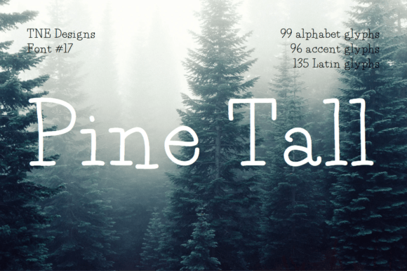 Pine Tall: A Chic Serif for Modern Web Design