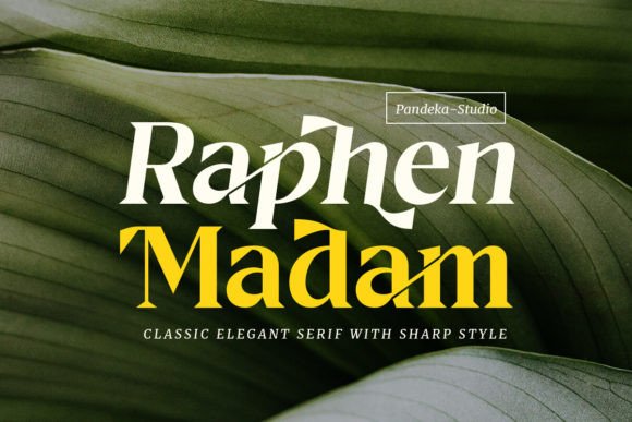 Raphen Madam: A Chic Serif Font for Bold Brand Identity