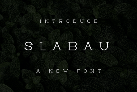 Slabau: A Unique Serif Typeface for Modern Web Design