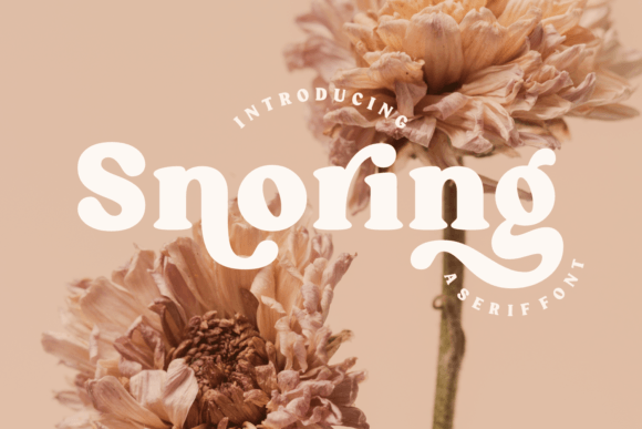 Snoring Typeface: A Handcrafted Serif for Editorial Warmth