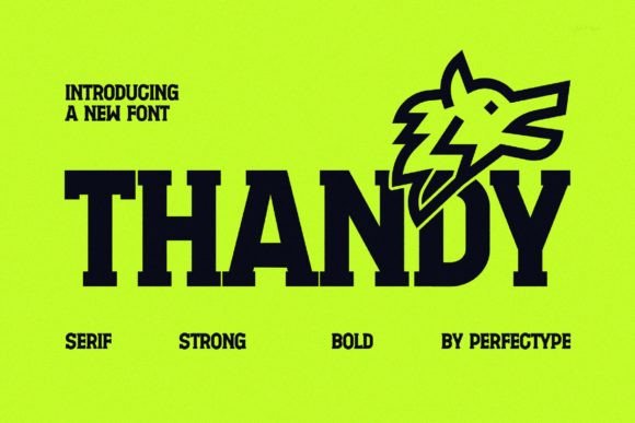 Thandy Typeface Review: Rhythm and Balance for Editorial Design